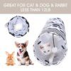 Tunnel de Jeu Pliable 2 Trous avec Balle – PAWZ Route, Stimulation Instinctive