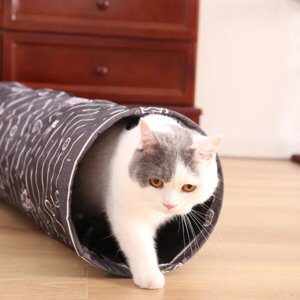 Tunnel de Jeu Pliable 2 Trous avec Balle – PAWZ Route, Stimulation Instinctive
