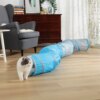 Tunnel Solide et Pliable en Forme de S pour Chat – PAWZ Road