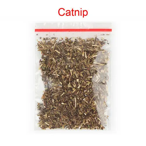 WaveScratch Cocoon™ – La planche ondulée à gratter avec herbe-aux-chats