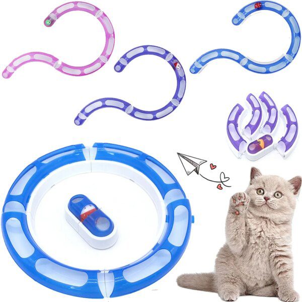 jouet pour chat Balle de piste Interactive pour chat, jouet de forme ronde
