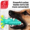 Bâton Cactus à Mâcher pour Chien – Résistant, Nettoyage des Dents