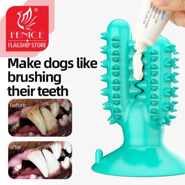 Bâton Cactus à Mâcher pour Chien – Résistant, Nettoyage des Dents