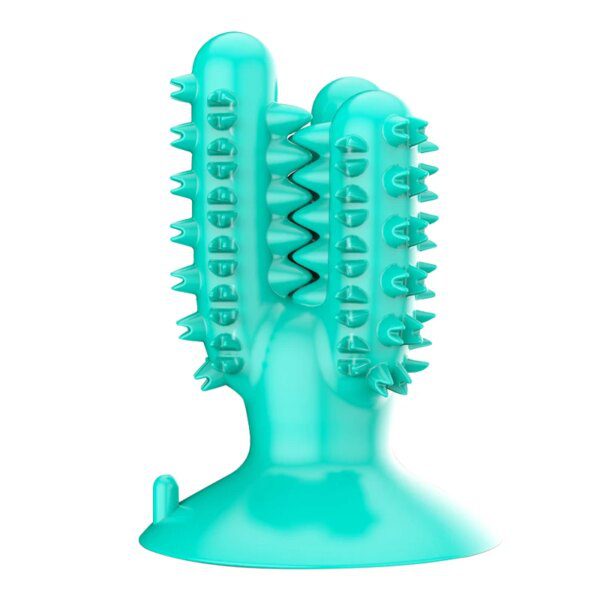 Bâton Cactus à Mâcher pour Chien – Résistant, Nettoyage des Dents