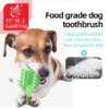 Bâton Cactus à Mâcher pour Chien – Résistant, Nettoyage des Dents