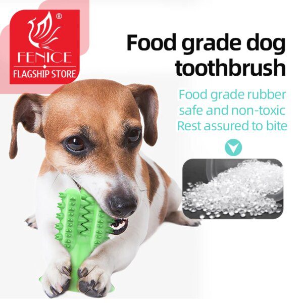 Bâton Cactus à Mâcher pour Chien – Résistant, Nettoyage des Dents