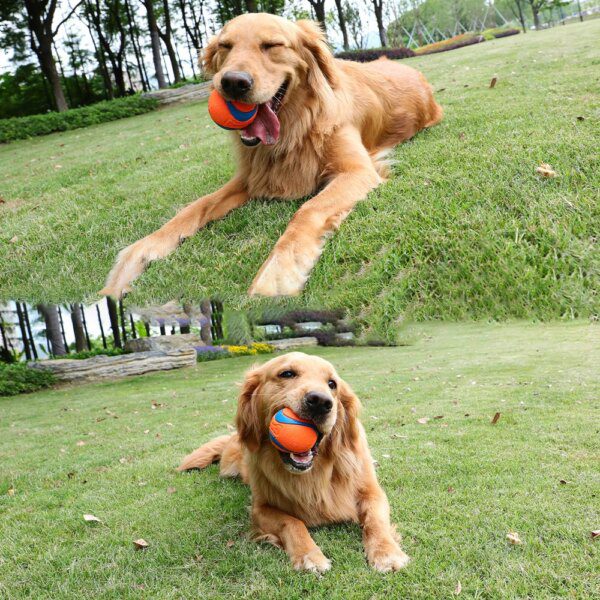 Balle Sonore en Caoutchouc Non Toxique pour Chien & Chiot – Jeu