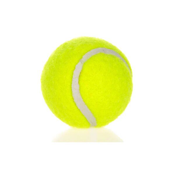 Lot de 6 Balles de Tennis Résistantes pour Chien – Entraînement, Poursuite