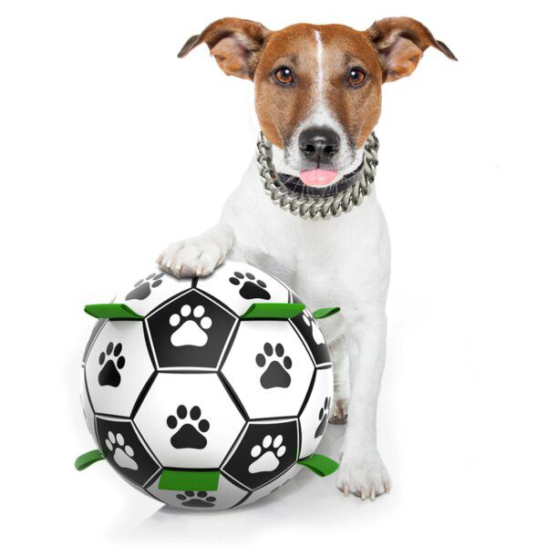 Balle Puzzle IQ type Football pour Chien – Mastication Intelligente