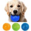 Balle Sonore à Picots en TPR pour Chien, Chiot & Chat – Nettoyage Dentaire