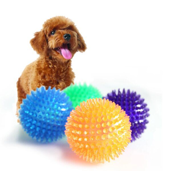 Balle Sonore à Picots en TPR pour Chien, Chiot & Chat – Nettoyage Dentaire