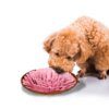 Tapis de reniflage pour chien, accessoire de formation à l'odeur du nez