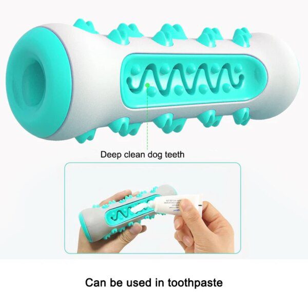 Brosse à Dents Molaire pour Chien – Nettoyage Dentaire Actif, Mastication Utile