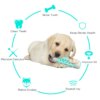 Brosse à Dents Molaire pour Chien – Nettoyage Dentaire Actif, Mastication Utile