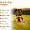 Os à Mâcher en Bois de Cerf pour Chien – Mastication