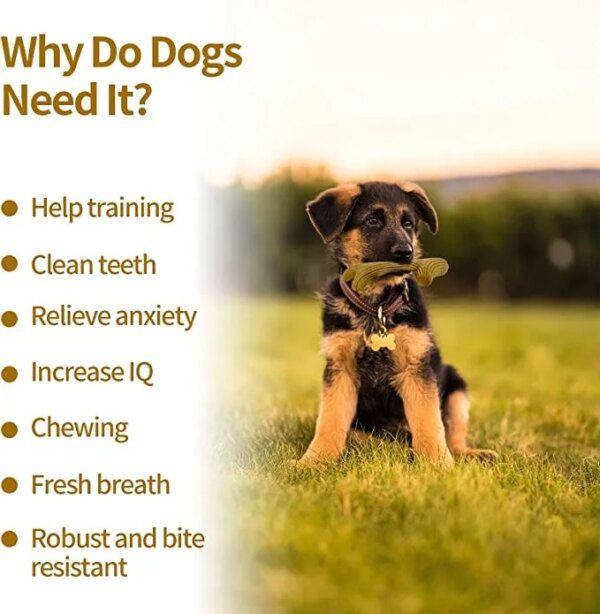 Os à Mâcher en Bois de Cerf pour Chien – Mastication