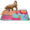 Tapis de Reniflage Lavable pour Chien – Stimulation Mentale