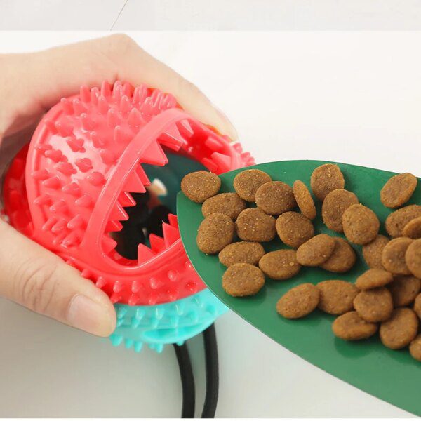 Jouet Distributeur de Croquettes en Silicone avec Ventouse – Mastication