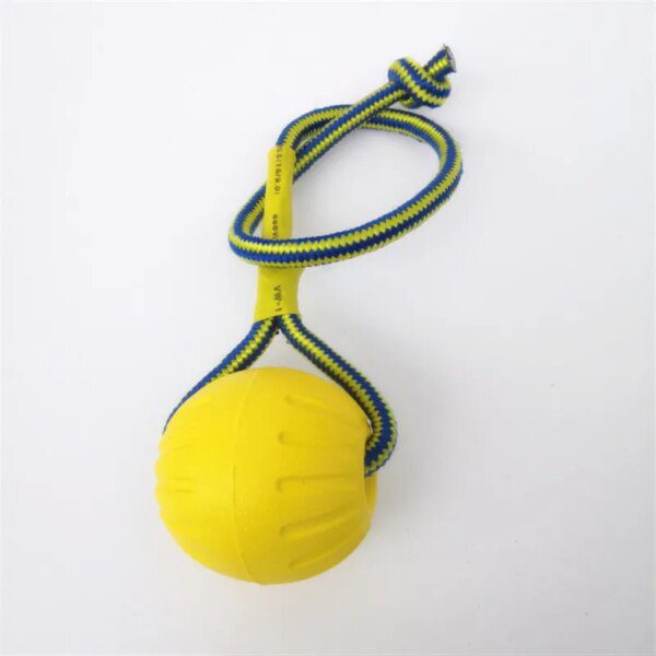 Balle Indestructible en Plastique pour Chien – MOONBIFFY, 2 Tailles
