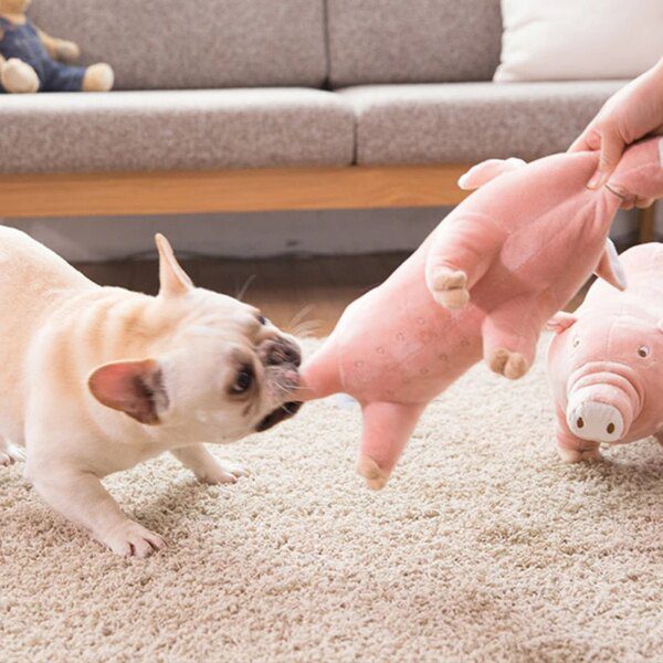 Peluche Cochon Résistante – Jouet à Mâcher & Doudou Apaisant pour Chien