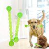 Bâton de Dents Flottant en TPR Alimentaire pour Chien – Mastication