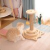 Jouet interactif en bois pour chat – Plateau tournant