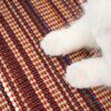 Griffoir Chat – Tapis à Gratter en Sisal Multi-Fixation pour Protection