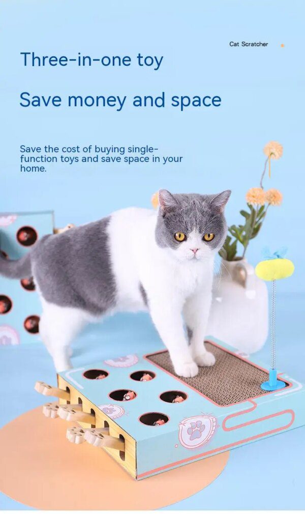 Jouet pour Chat – Boîte de Chasse 3-en-1 Interactive avec Griffoir