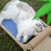 Lit de plage d'été pour chat, nid, cadre d'escalade pour chats, 4 saisons