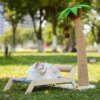 Lit de plage d'été pour chat, nid, cadre d'escalade pour chats, 4 saisons
