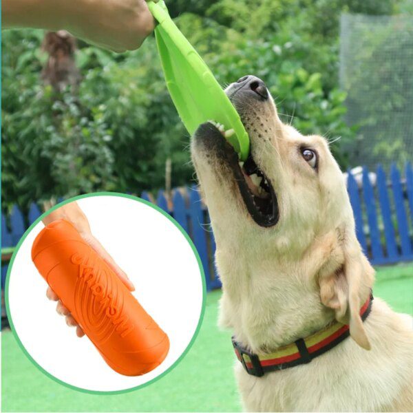Frisbee en Silicone Écologique pour Chien – Vol Contrôlé, Mastication Sûre