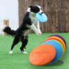 Frisbee en Silicone Écologique pour Chien – Vol Contrôlé, Mastication Sûre