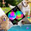 Balle LED Élastique Clignotante pour Chien – Jeu Interactif Lumineux