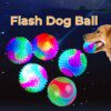 Balle LED Élastique Clignotante pour Chien – Jeu Interactif Lumineux