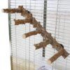 Perchoir Naturel en Bois de Poivre pour Perroquet – Support d’Escalade