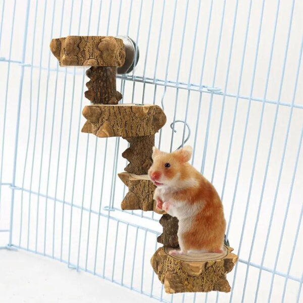 Échelle d’Escalade en Bois Naturel pour Perroquet & Petits Animaux – Escalier
