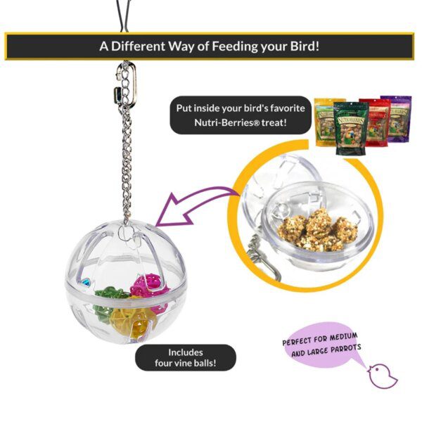 Jouet de Recherche de Nourriture pour Perroquet – Boule Acrylique Suspendue