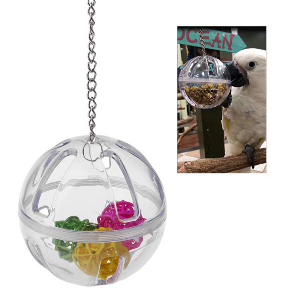 Jouet de Recherche de Nourriture pour Perroquet – Boule Acrylique Suspendue