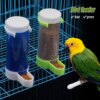 Abreuvoir Automatique Transparent pour Oiseaux – Bouteille d’Alimentation