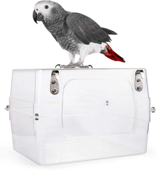 69534-e343fe.jpg Baignoire Cube Suspendue pour Perroquet – Bain Transparent Anti-Stress