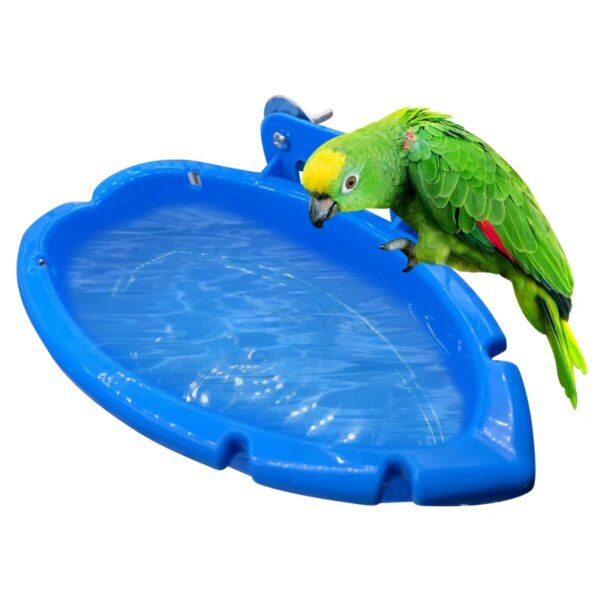 Baignoire Suspendue pour Oiseaux – Boîte de Bain & Mangeoire 2-en-1