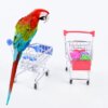 Mini Chariot d’Entraînement & Puzzle pour Perroquet – Jouet Cognitif