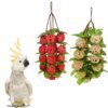 Jouet à Mâcher & Balançoire en Herbe Naturelle avec Cloches