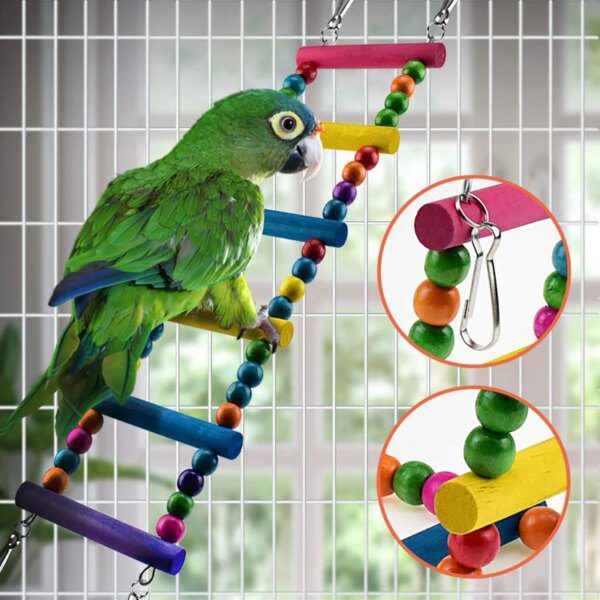 Kit 6 Jouets Colorés à Mâcher & Escalader pour Perroquets – Balançoire