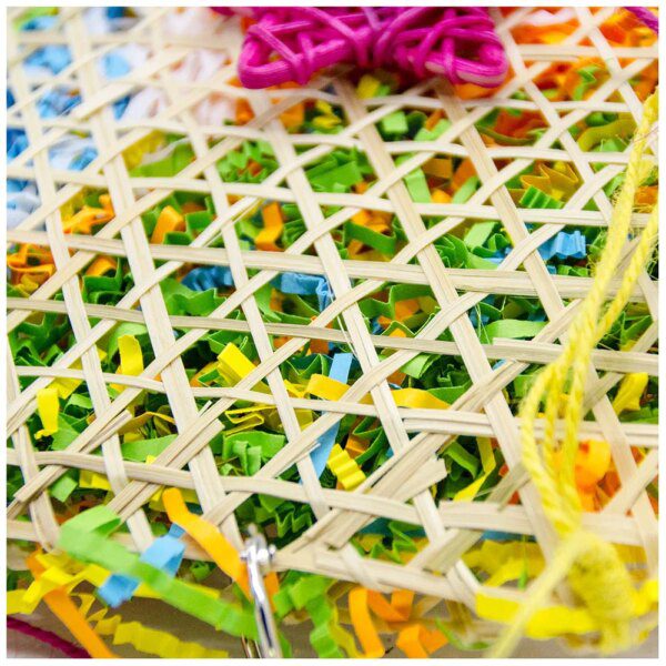 69948-0ff941.jpg Centre d’Activité Suspendu pour Conure, Perruche & Gris Africain