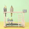 Aire de Jeux en Bois pour Perroquets & Tourtereaux