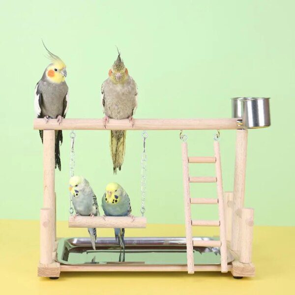 Aire de Jeux en Bois pour Perroquets & Tourtereaux