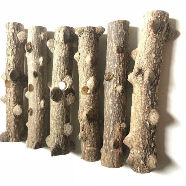 Lot de Perles & Tranches de Bois à Mâcher – Accessoires DIY Créatifs pour Cage