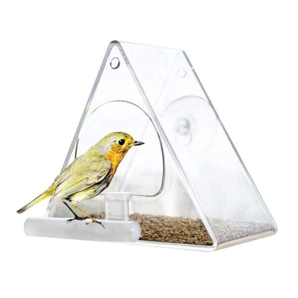 Mangeoire Triangulaire Transparente pour Oiseaux – Récipient Étanche
