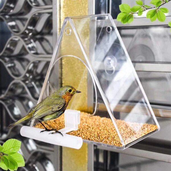 Mangeoire Triangulaire Transparente pour Oiseaux – Récipient Étanche